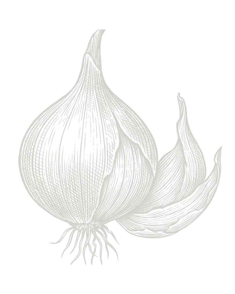 Shallots Onion layered